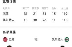 老鹰队大获胜利，击败黄蜂队晋级季后赛
