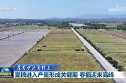 柏林赫塔迎来关键战胜重回胜利赛道