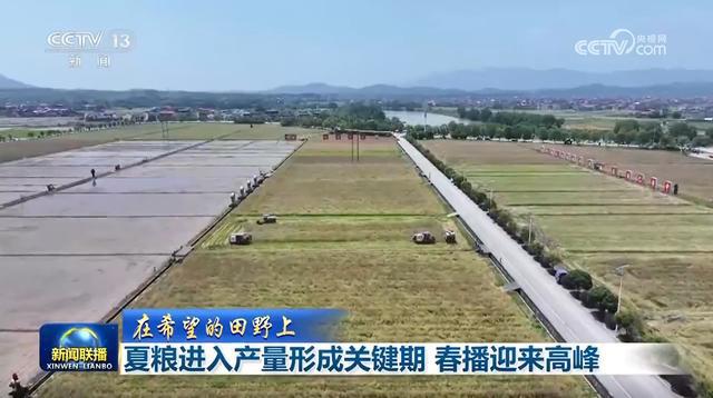 柏林赫塔迎来关键战胜重回胜利赛道